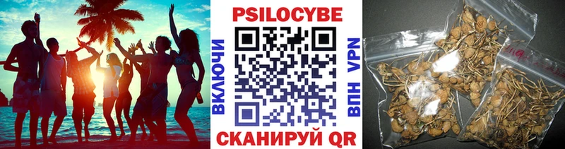 darknet клад  Болхов  Псилоцибиновые грибы прущие грибы 